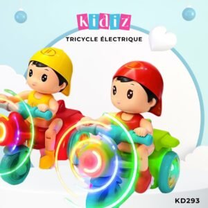Tricycle électrique KD293