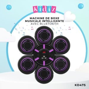 Machine de Boxe Musicale Intelligente Bluetooth KD475