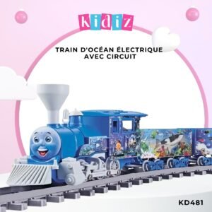 Train d'Océan électrique avec circuit KD481